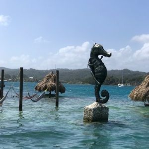 Meet your Posher, Laci